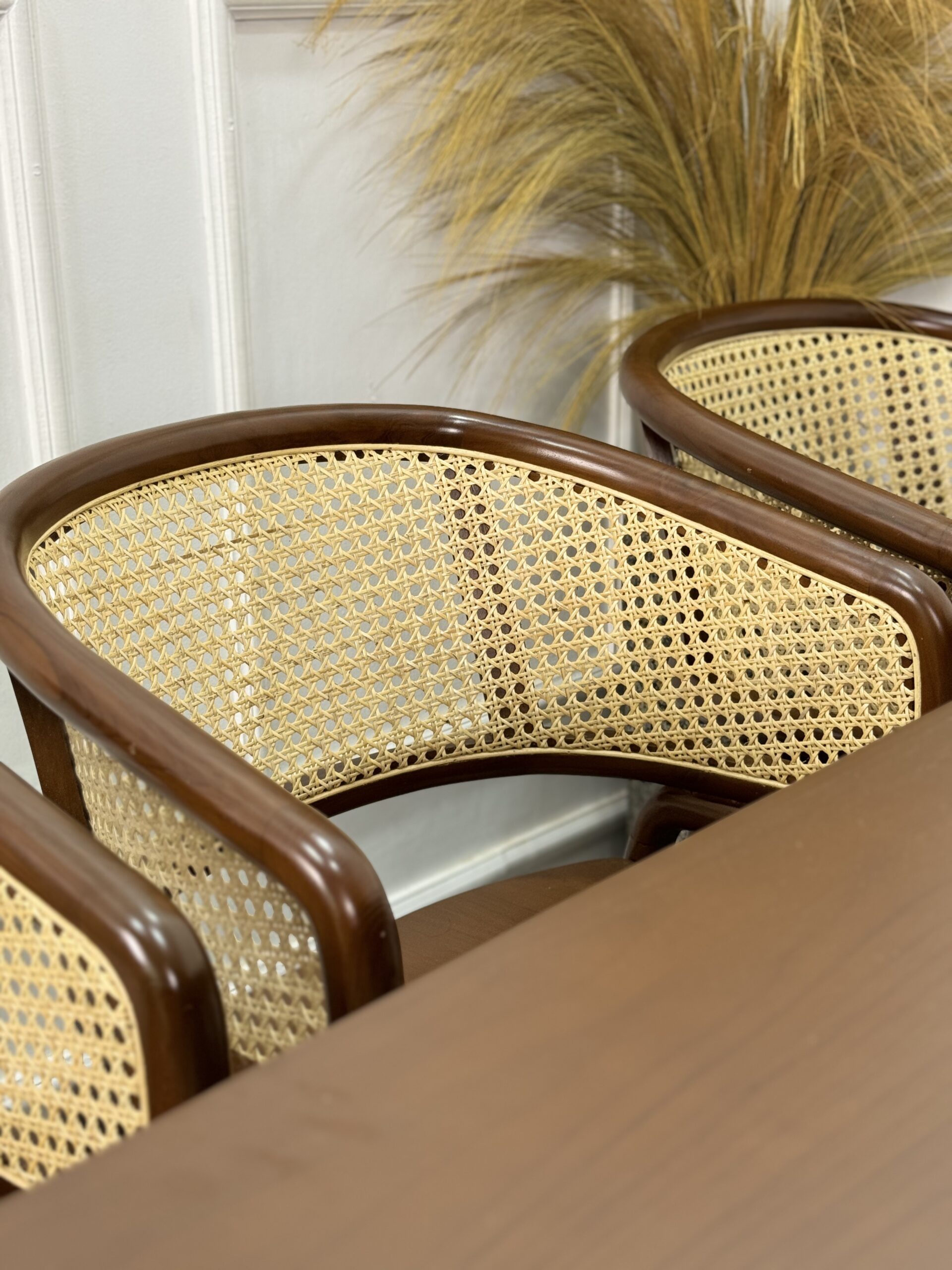 Cleopatra Cane Dining Set 4