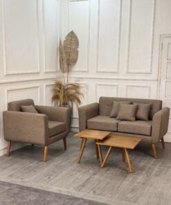Retro Modern Living Sofa -2