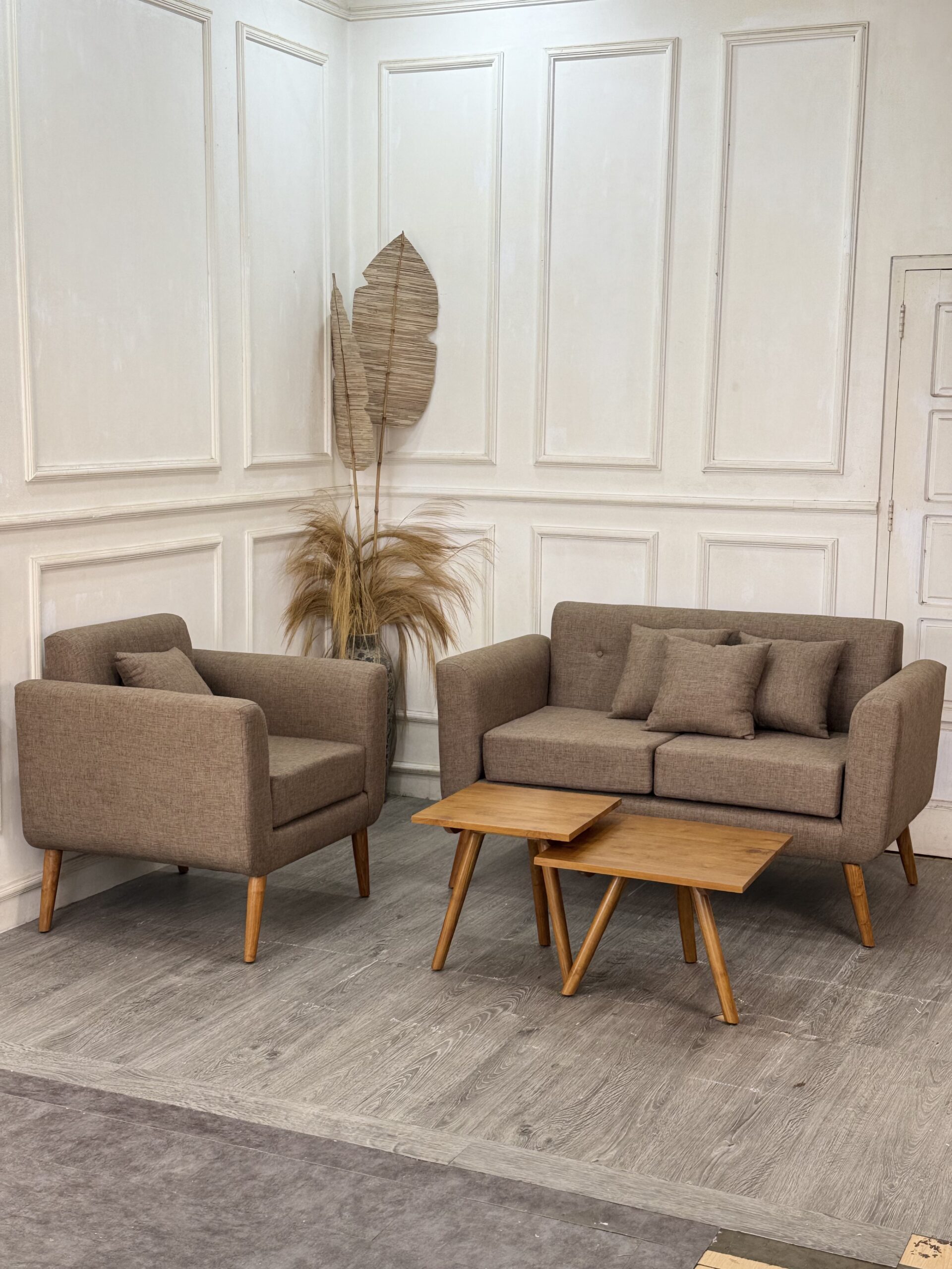 Retro Modern Living Sofa -2