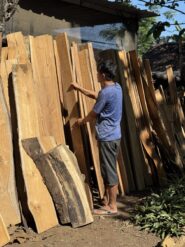 Solid Hardwood Lumber Inspection By Local Craftsmen